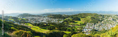 Fototapeta Naklejka Na Ścianę i Meble -  ニュージーランド　ウェリントンのタワタワ保護区からの景色