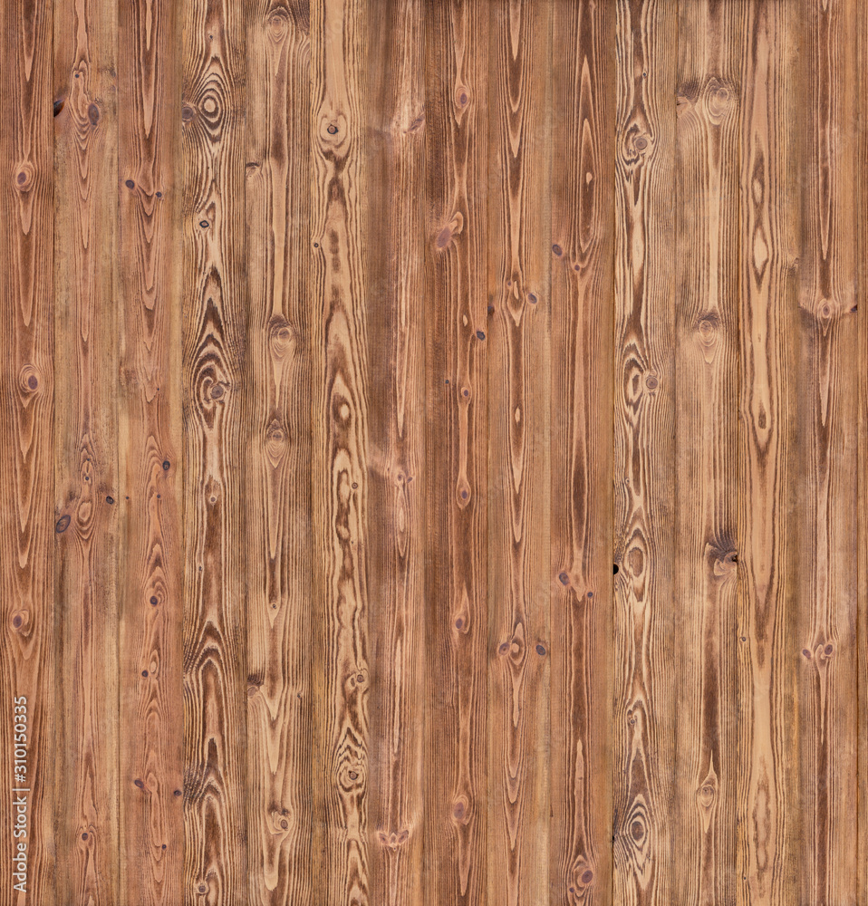 Fototapeta premium Natural wood texture or background
