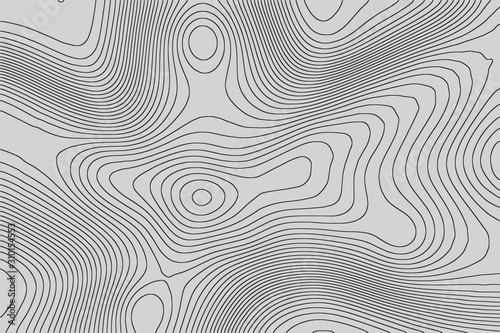 Imitation of a geographical map, dark lines on gray background, vector design