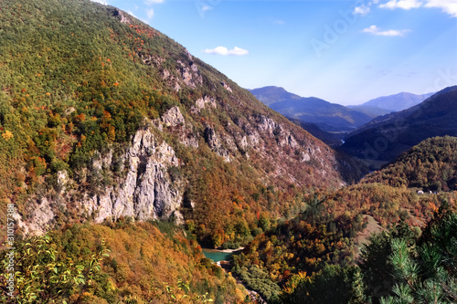  Amazing mountain autumn landscape with colorful forest. Fall cold colors trees in the Montenegro mountains. Yellow, orange, burgundy trees in the mountains.Mountain horizon.