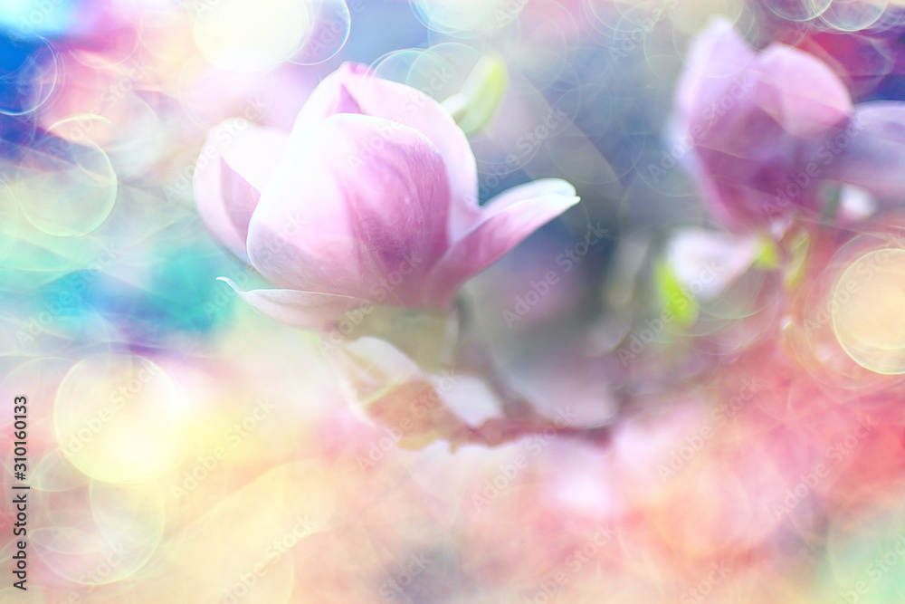 blurred background flowers / concept not clear soft background for design spring mood