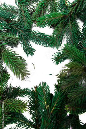 The branches of the Christmas tree. Coniferous tree on white background.