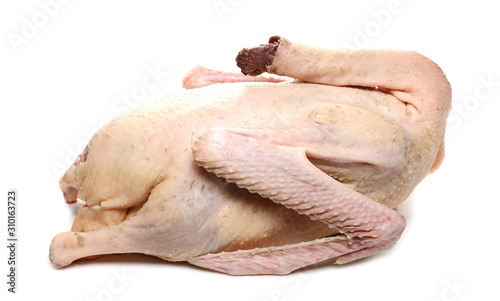 фотографія Fresh raw plucked goose isolated on white background