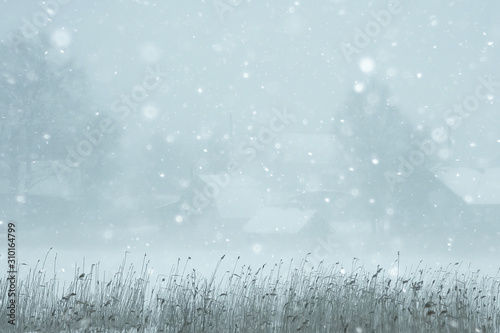 snow fog landscape snowfall / winter landscape cold seasonal weather, nature in winter form, foggy outside