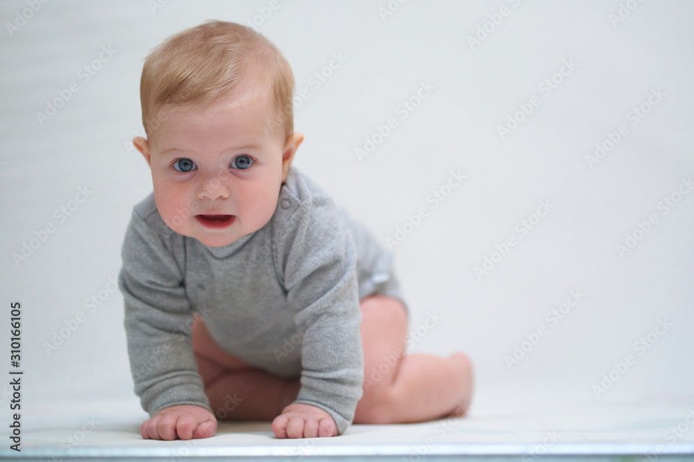 a six-month-old baby learns to crawl. emotional portrait of a child a six-month-old baby learns to crawl. emotional portrait of a child