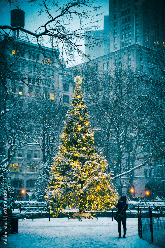 Sự kết hợp hoàn hảo giữa cây thông được trang trí cầu kỳ với ánh sáng vàng rực rỡ, trên nền tuyết phủ trắng xóa sẽ mang đến cho bạn cảm giác ấm áp, rực rỡ của mùa lễ hội. Đây là bức ảnh hoàn hảo để tăng thêm không khí lễ hội cho căn phòng của bạn.