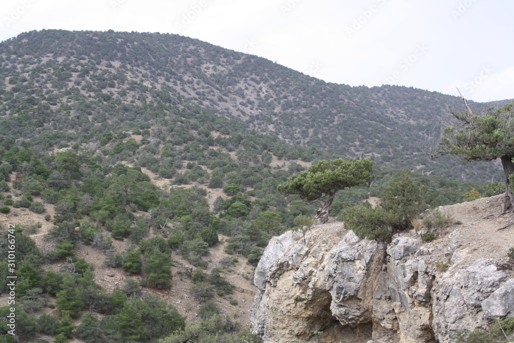 view of mountains in spain