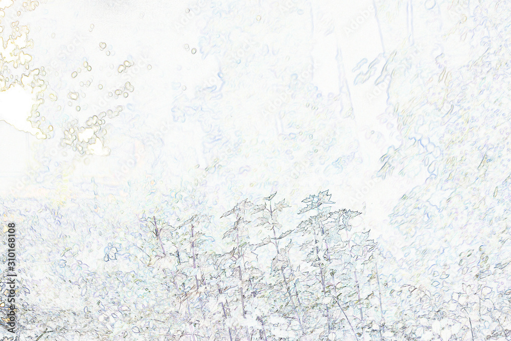 Fototapeta premium leaves