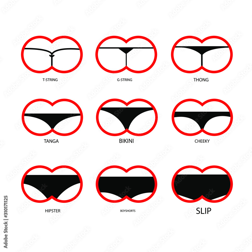 Types of women's panties. Set of underwear - slip, t-string, g-string,  thong, tanga, bikini, cheeky, hipster, boyshorts. Vector illustration Stock  Vector | Adobe Stock