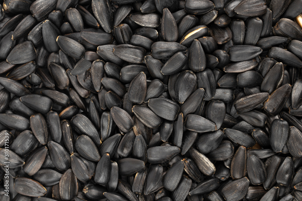 Pile of back sunflower seeds. Roasted seeds. Pile of back sunflower seeds. Roasted seeds.
