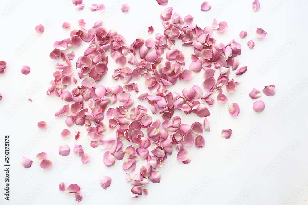 heart rose petals / pink roses, heart-shaped frame petals, love concept
