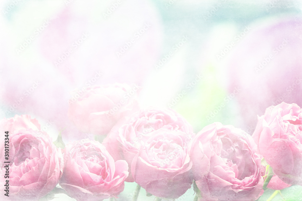bouquet of pink roses background / holiday concept, beautiful pink flowers background bouquet of pink roses background / holiday concept, beautiful pink flowers background