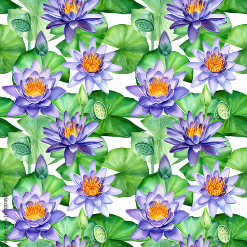 seamless pattern  water lily  purple  lotus flowers  buds  leaves  seeds on an isolated white background  watercolor painting  illustration