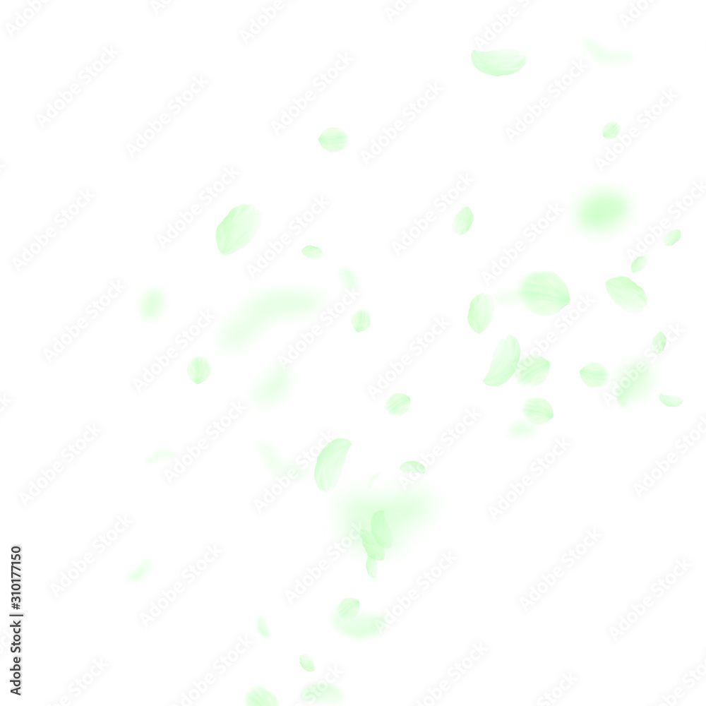 Green flower petals falling down. Classy romantic Green flower petals falling down. Classy romantic