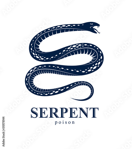 Snake vector logo emblem or tattoo, deadly poison dangerous serpent, venom aggressive predator reptile animal vintage style illustration.