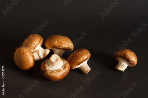 Mushrooms Royal Brown champignon on a dark background. 