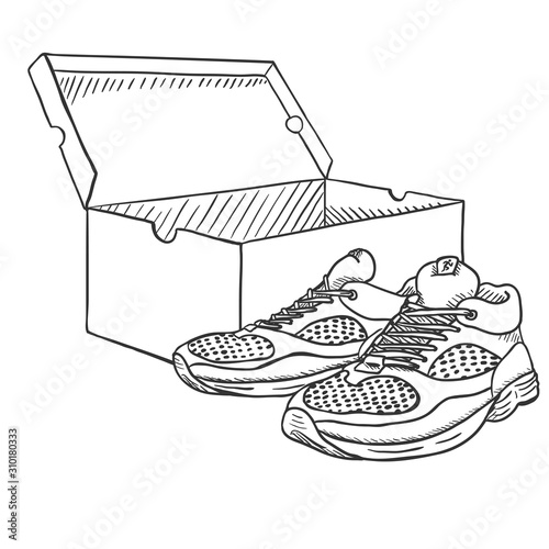 Vector Sketch Running Shoes with Shoebox