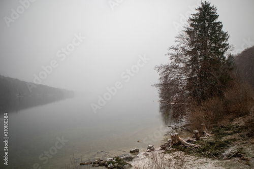 Wallpaper Mural Foggy lake landscape in winter Torontodigital.ca