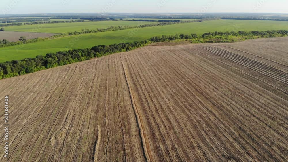 Aerial view of a large agricultural field after harvesting on a sunny day, drone shot Aerial view of a large agricultural field after harvesting on a sunny day, drone shot