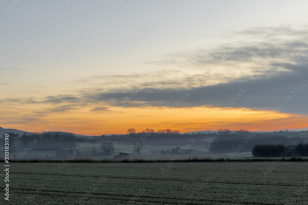 A soft morning in the fields.