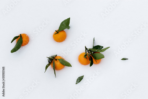 Bright fragrant tangerines with green leaves on white snow in a frosty winter day. Christmas background for greeting card or text.
