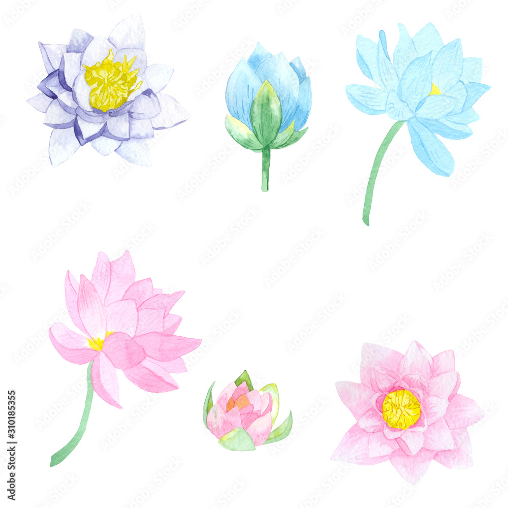 Watercolor set of tender romantic pink and blue water lilies. Great for decorating postcards, invitations, websites, photo albums, textiles, scrapbooking and much more.
