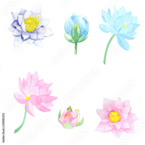 Fototapeta Naklejka Na Ścianę i Meble -  Watercolor set of tender romantic pink and blue water lilies. Great for decorating postcards, invitations, websites, photo albums, textiles, scrapbooking and much more.