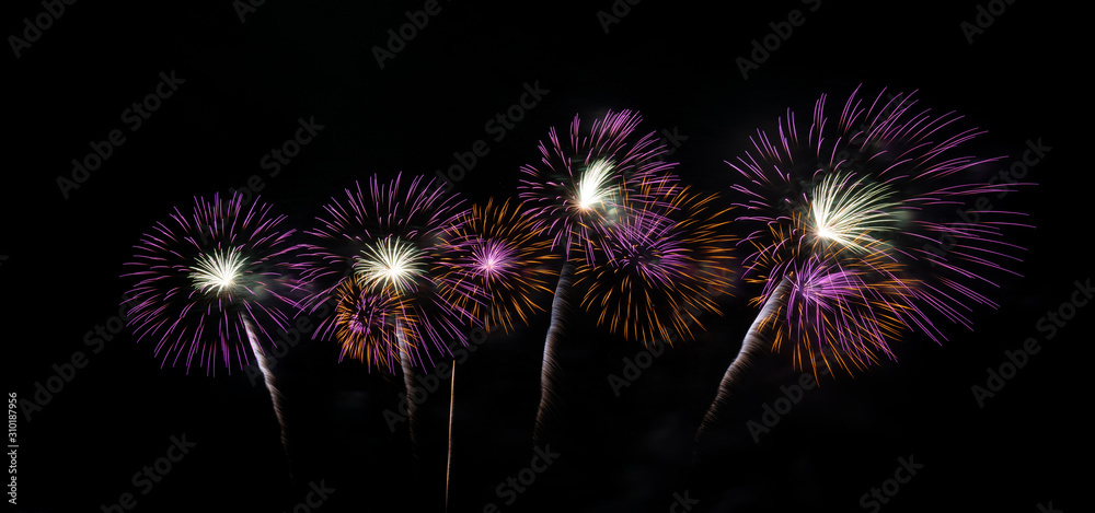 Fototapeta premium Fireworks light up the sky