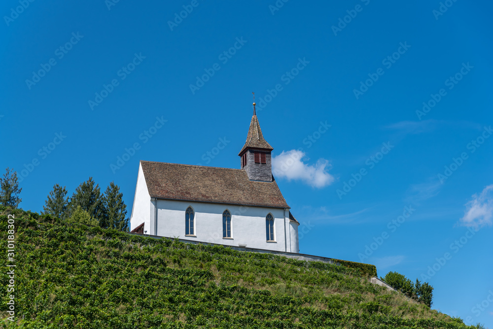 Vineyard with Saint Nicholas Mountain church in Rheinau in Switz