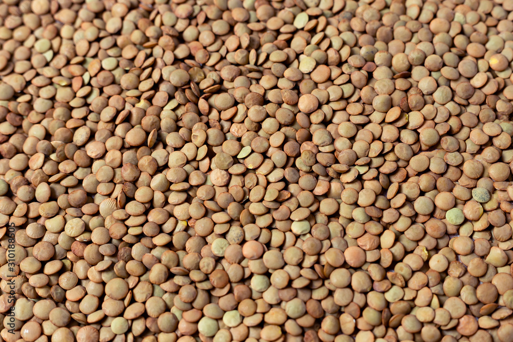 Vegetarian food. Lentil texture Image with horizontal orientation. Vegetarian food. Lentil texture Image with horizontal orientation.