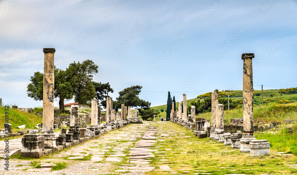 Ruins of Asclepieion of Pergamon in Turkey