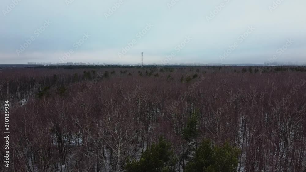 Aerial: Forest in early winter in the vicinity of a big city - Tilt reveal shot Aerial: Forest in early winter in the vicinity of a big city - Tilt reveal shot