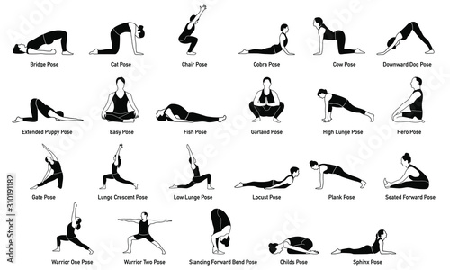 Fotografie, Obraz Popular Yoga Poses/Positions Illustrations Icons