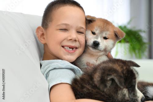 Little boy with Akita inu puppies on sofa at home. Friendly dog