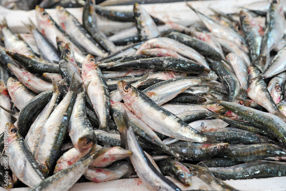 shopping at the market - anchovies and sardines - blue fish, omega 3 shopping at the market - anchovies and sardines - blue fish, omega 3