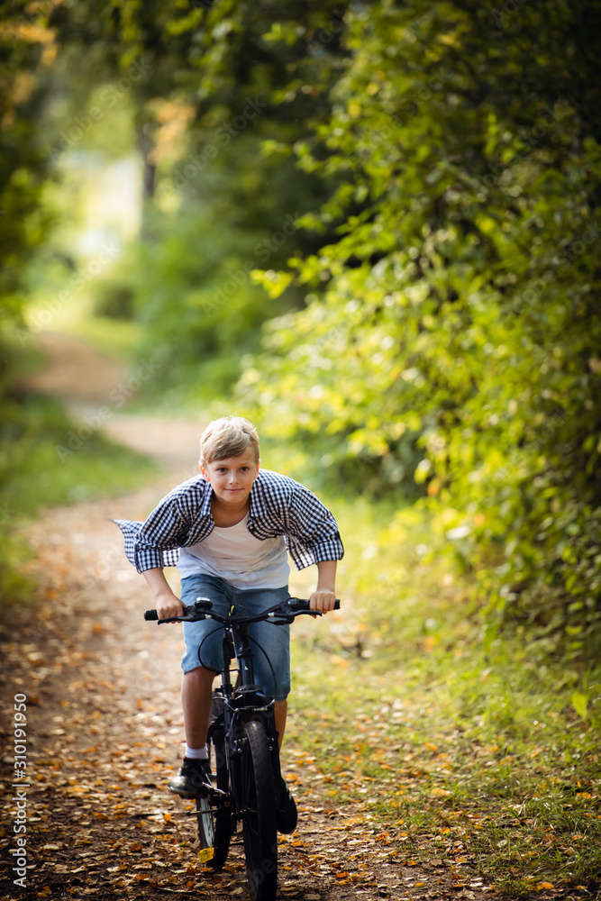 Fototapeta premium A young boy riding his bike in a summer forest.