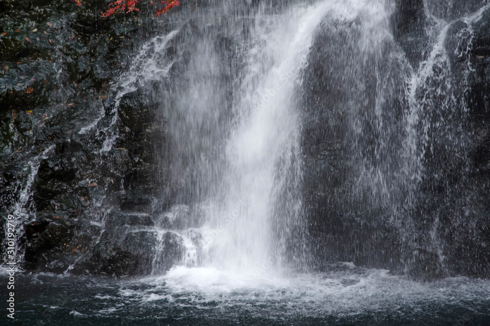 滝 滝