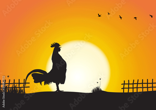 Silhouette of chicken crowing on sunrise background vector illustration