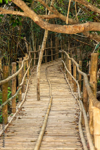 Bamboo bridge over to the forest