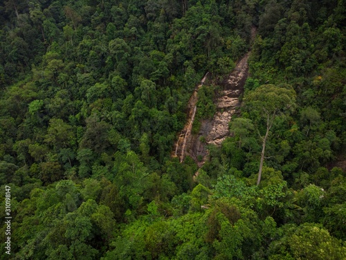 Aerial view of forest and hills