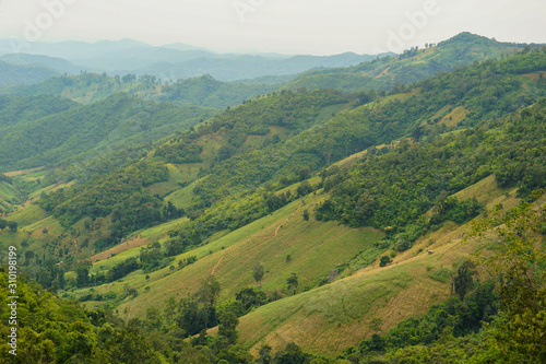 The forest and mountains in Vietnam