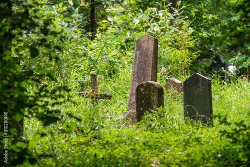 Cemetery containing gravestones from the 1800's