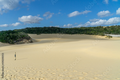 the bright desert beach near the sea on Fraser Island in Australia photo