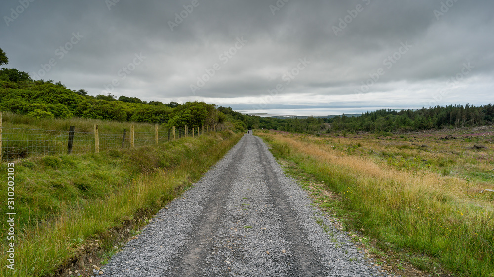 Dirt road passing through field, Grange, County Sligo, Ireland Dirt road passing through field, Grange, County Sligo, Ireland