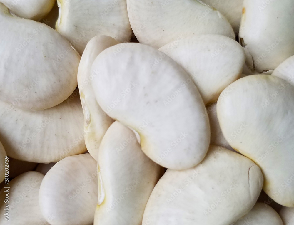 Photography of lima bean seeds pattern for food background Photography of lima bean seeds pattern for food background