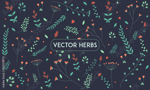 Botanical background: herbs, leaves and flowers of simple form on a dark background. Concept of spring, summer. Cute herbs for postcards, prints. Flat, pattern. Suitable for packaging design.