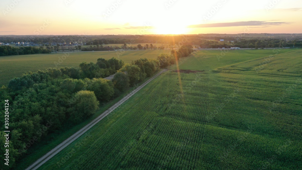 Sunrise over Rural Field (Drone)