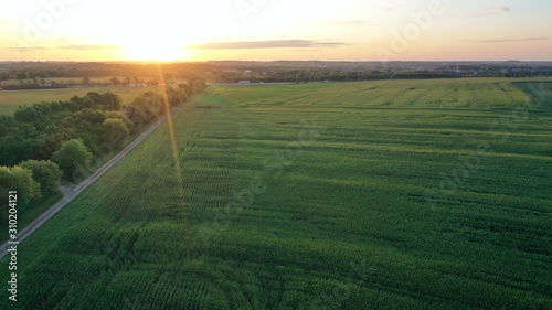 Sunrise over Rural Field (Drone)