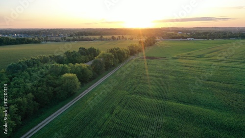 Sunrise over Rural Field  Drone 
