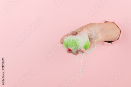 Girl hand holds a beauty blender for makeup from a hole in a pink background  copy space. Sponge in soapy foam  how to clean.